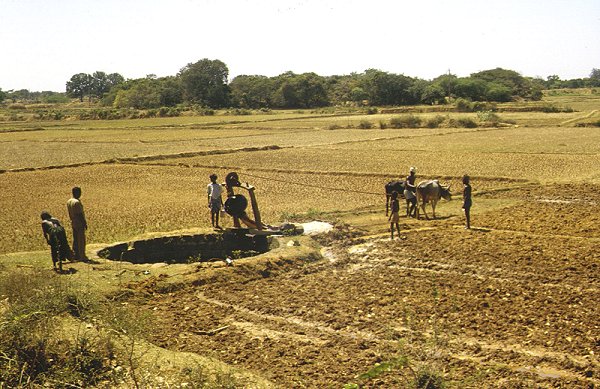 Bewässerung der Reisfelder