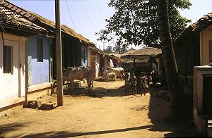 In einem Dorf bei Somnathpur