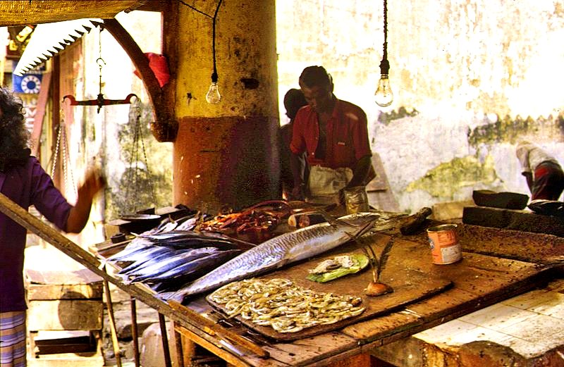 Galle - Fischmarkt