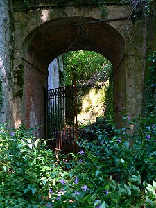 Der geheime Garten - Secret Garden