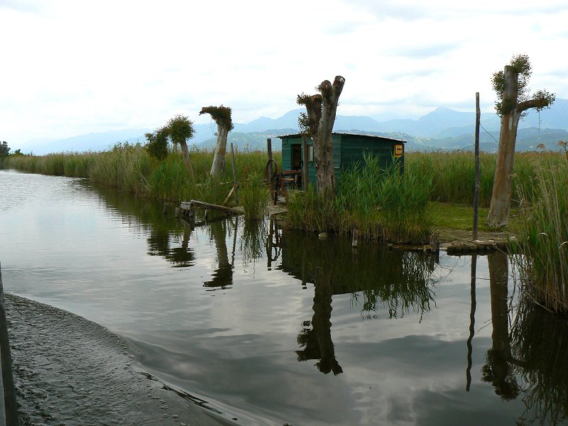 Lago di Massaciuccoli