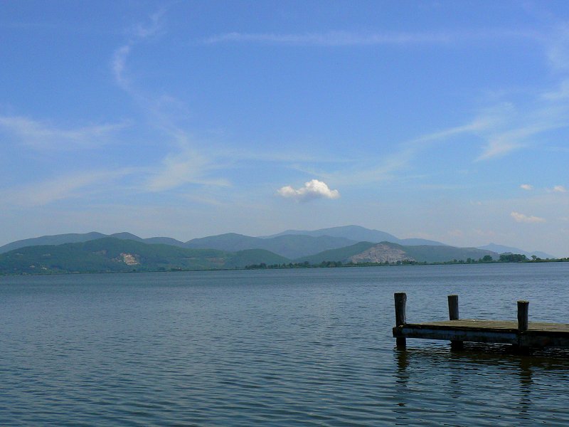 Lago di Massaciuccoli - Puccini-See