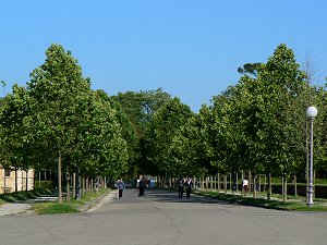 Park auf dem Wall der Stadtmauer