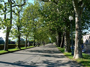 Park auf dem Wall der Stadtmauer