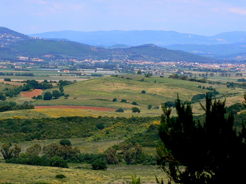 Die Landschaft der Toskana um Venturina