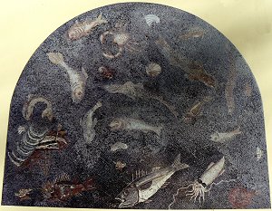 Römisches Mosaik: Meerestiere