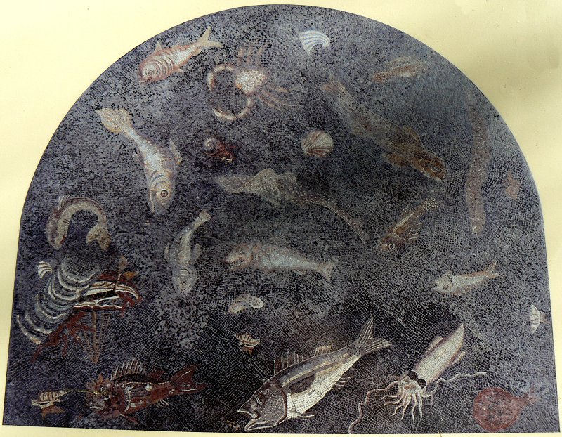 Römisches Mosaik mit Meerestieren
