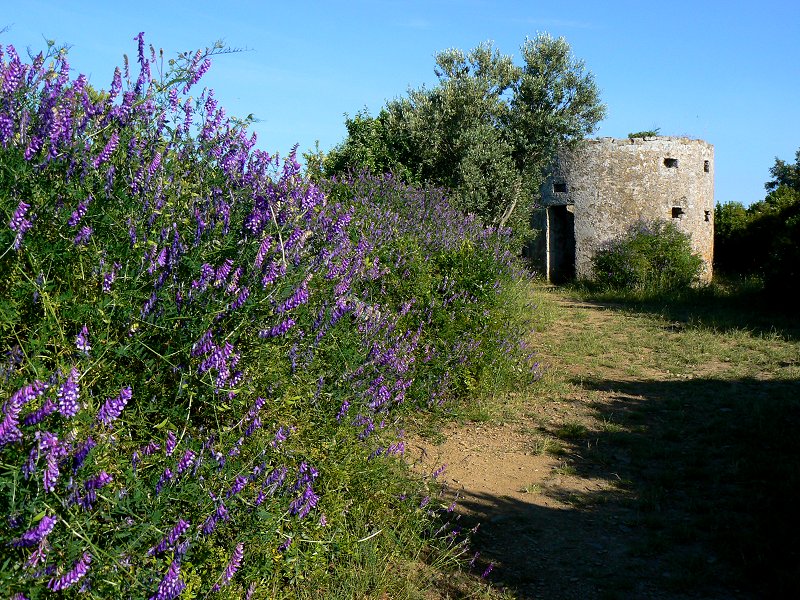 Ruine einer Windmühle