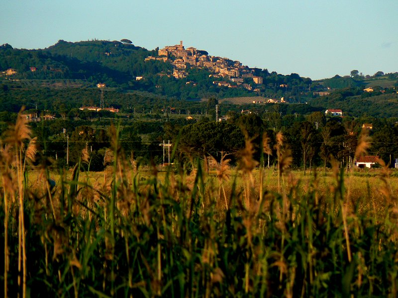 Rosignano Marittimo