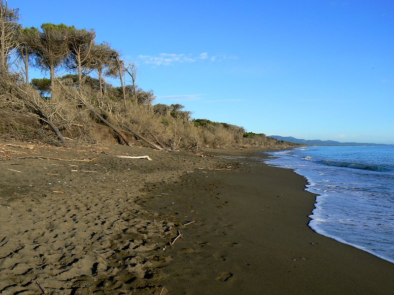 Strand an der Pineta