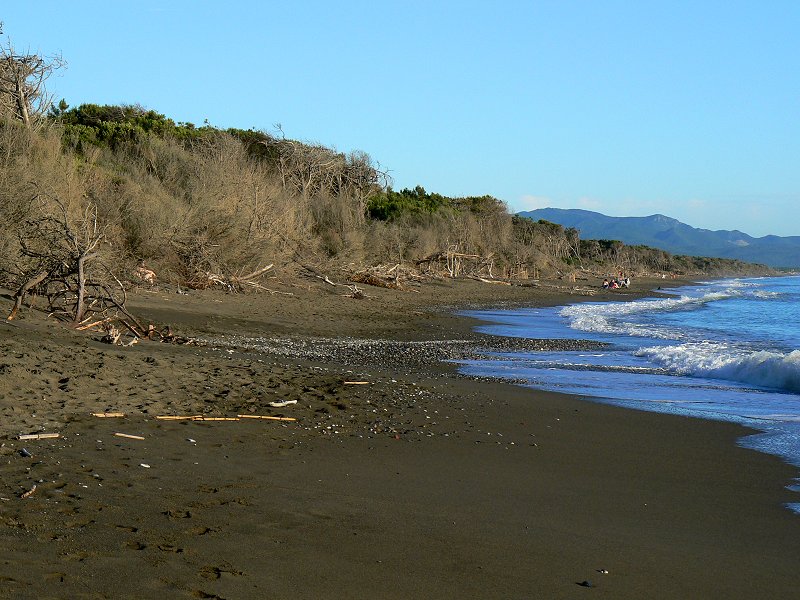 Strand am Piniengürtel