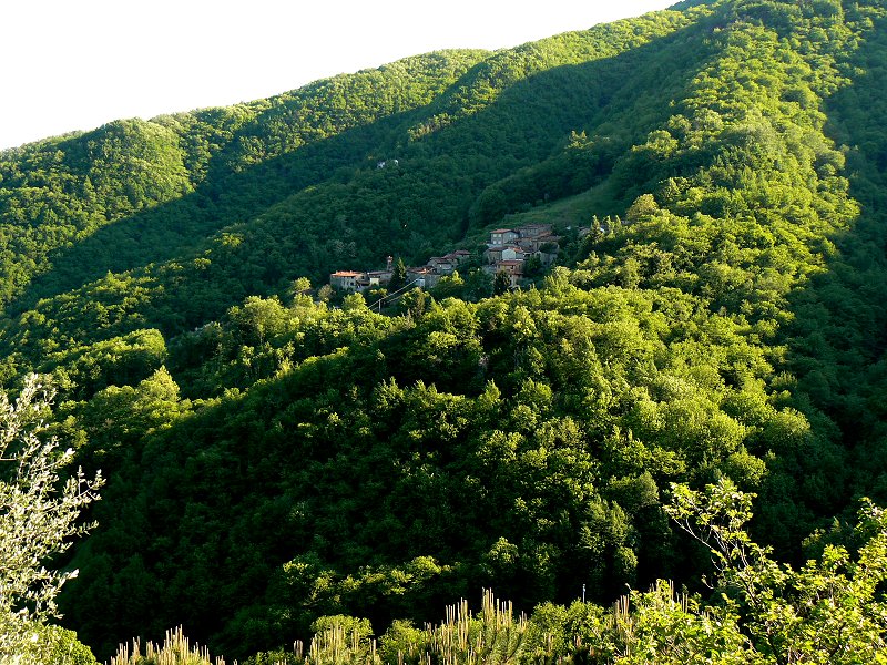 Im Tal des Flusses Fosso di Camaiore