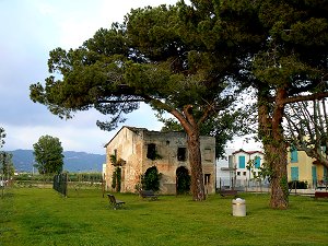 Kleiner Park in Lido di Camaiore