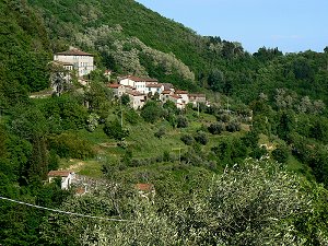 Pescaglia