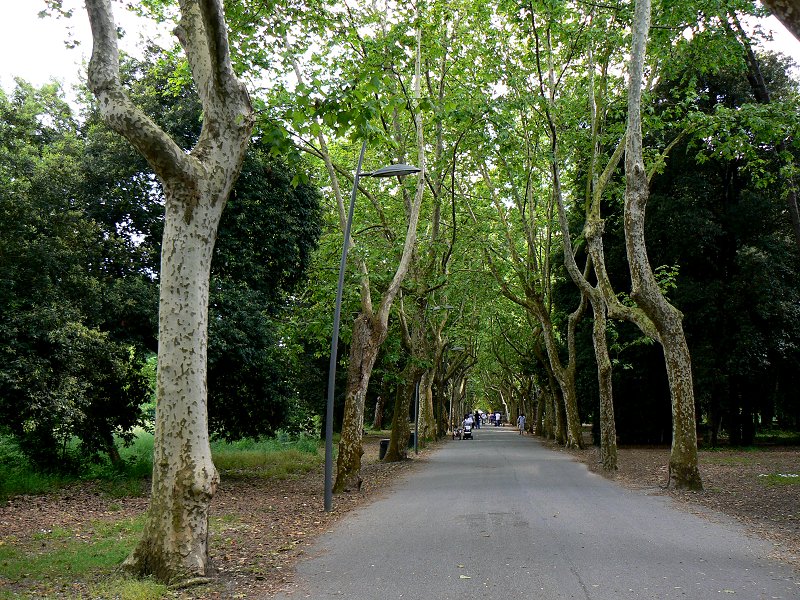 Stadtpark in Viareggio