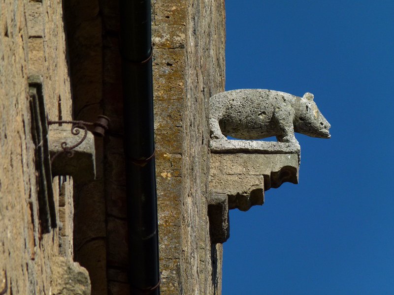 Schwein als Symbol der Maremma