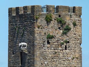 Schwein oder Wildschwein, Symbol der Maremma