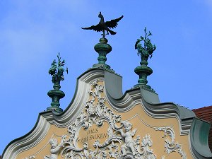 Würzburg - Falkenhaus: Rokoko-Stuckdekorationen