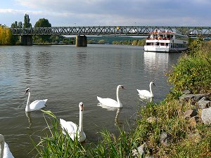 Volkacher Mainschleife